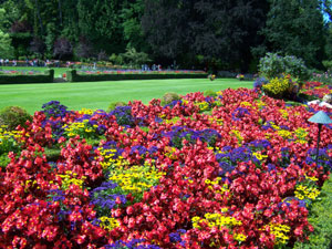 Butchart Gardens Package