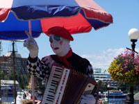 Busker working the Inner Harbour